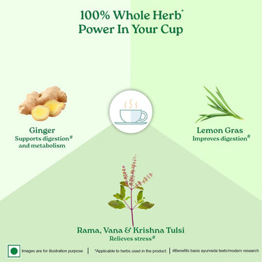 A TATA Product - Organic India Tulsi Green Tea Lemon Ginger - 25 Teabags, Herbal Blend with Green-Tea, Tulsi, Lemon & Ginger, Supports Digestion, Refreshing Taste, Natural Ingredients